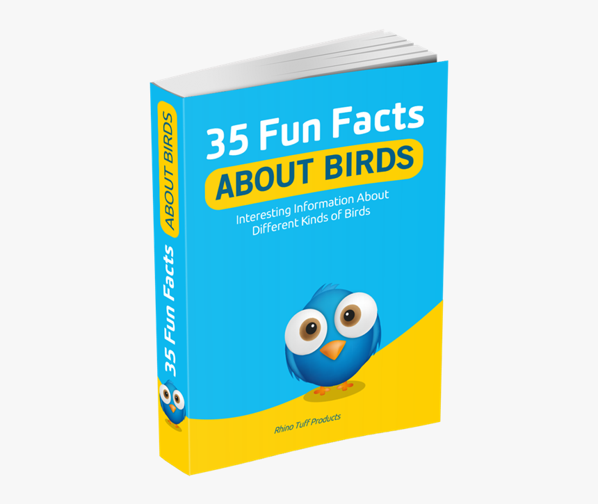 Multimedia Software, HD Png Download
