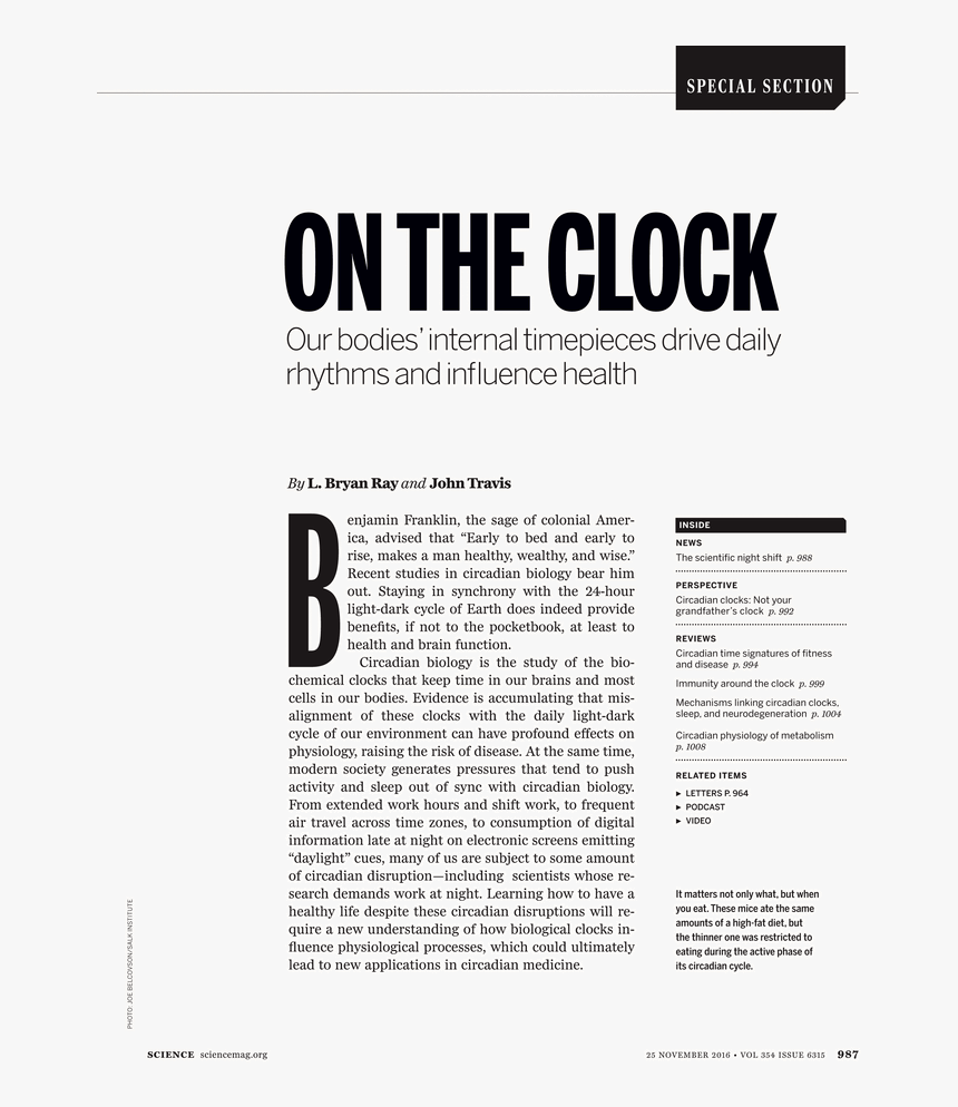 Document, HD Png Download