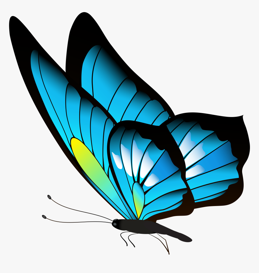 Blue Butterfly Png Download - Cute Baby Bird Drawing, Transparent Png