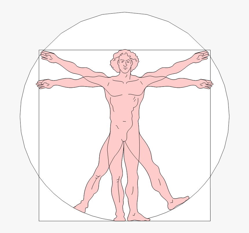 Renaissance Art Leonardo Da Vinci Vitruvian, HD Png Download