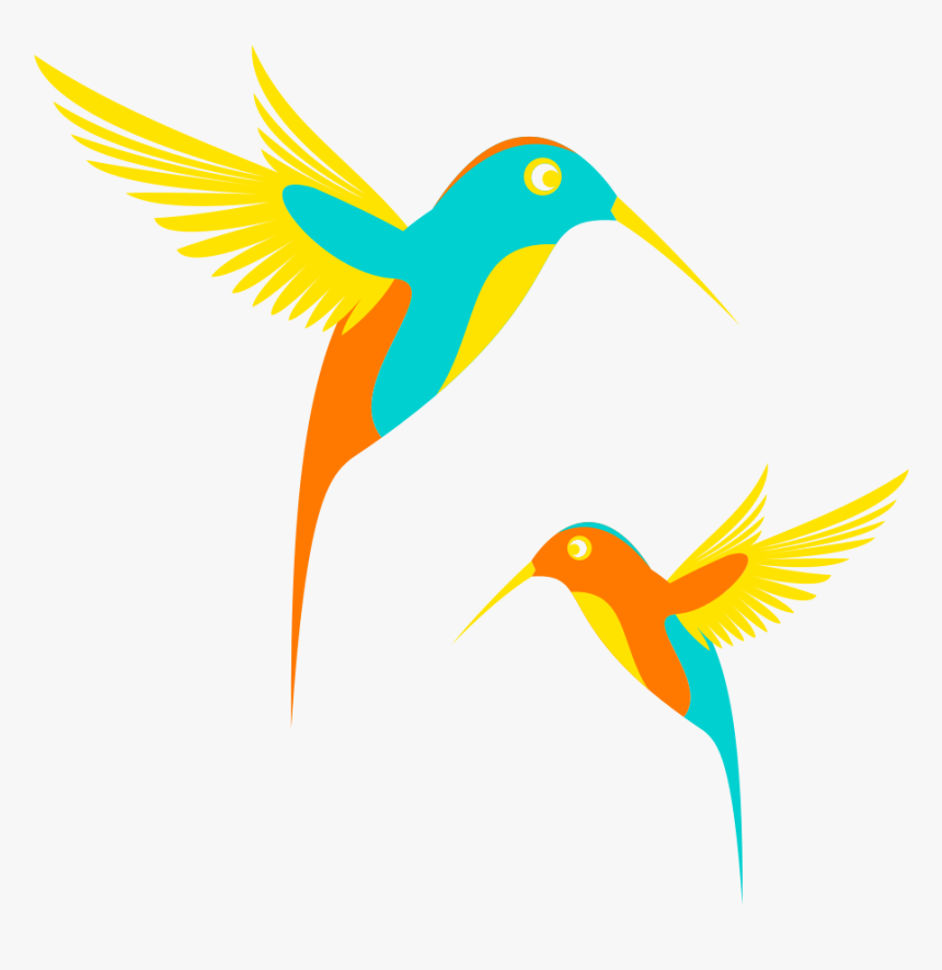 Vector Png - Colibri Clipart, Transparent Png