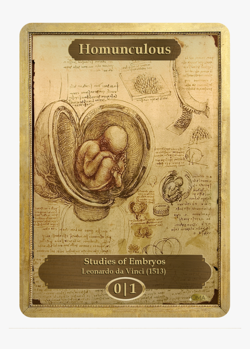 Leonardo Da Vinci Png, Transparent Png