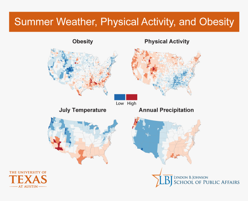 Too Hot To Exercise New Research Links Obesity To Temperature - University Of Texas At Austin, HD Png Download