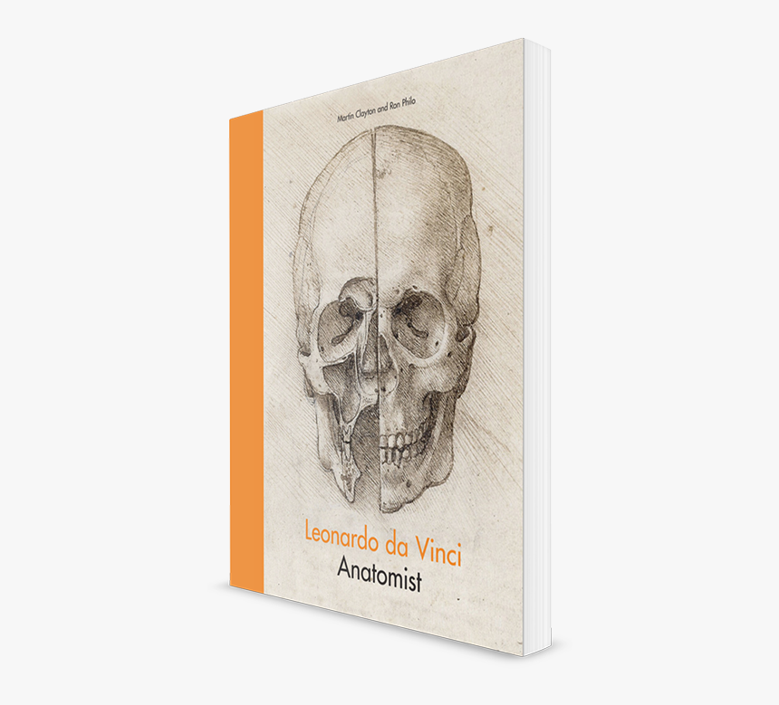 Leonardo Da Vinci Skull, HD Png Download