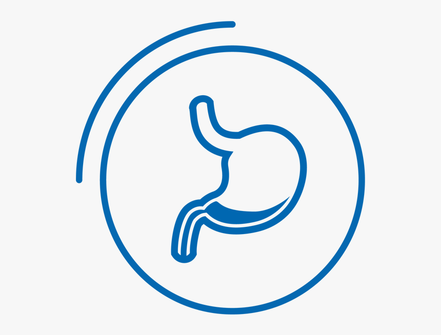 Medico Gastroenterologo Logo, HD Png Download