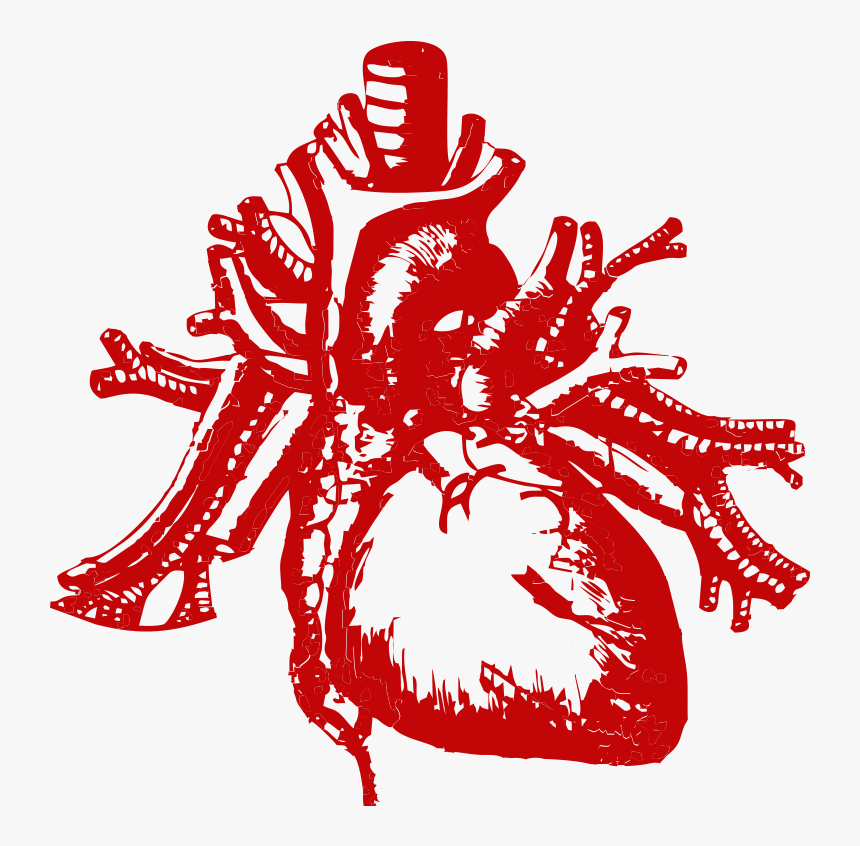 Real Heart Silhouette Png Transparent - Tell Tale Heart, Png Download
