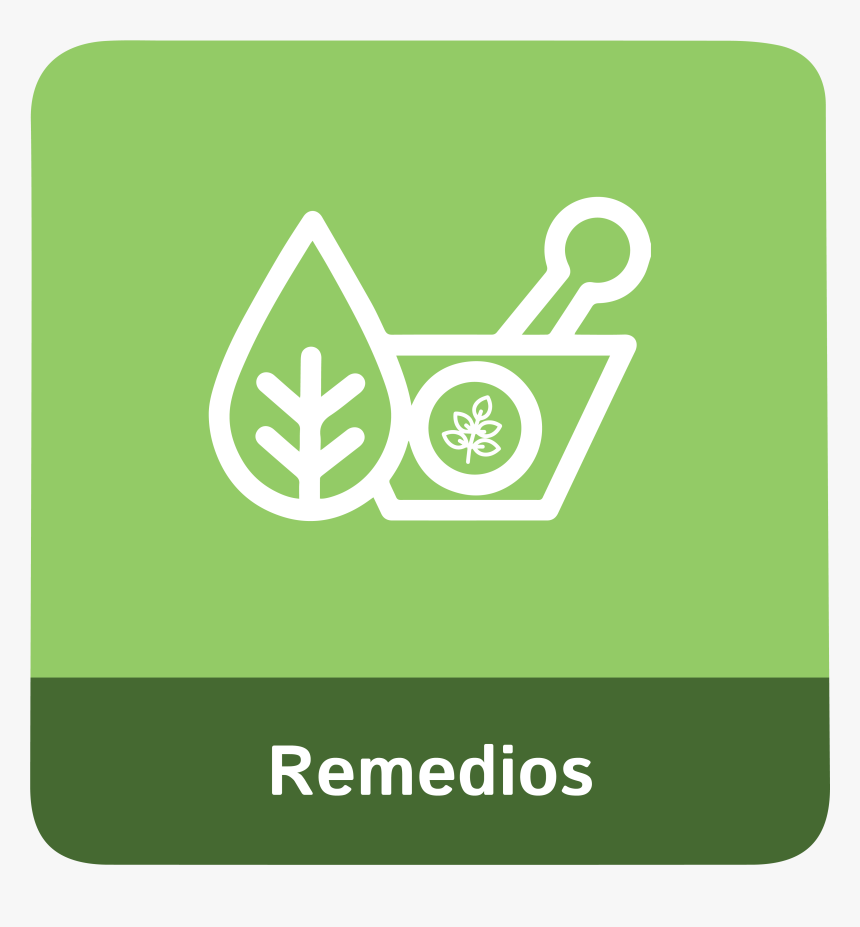 Medicinal Plants Icon, HD Png Download