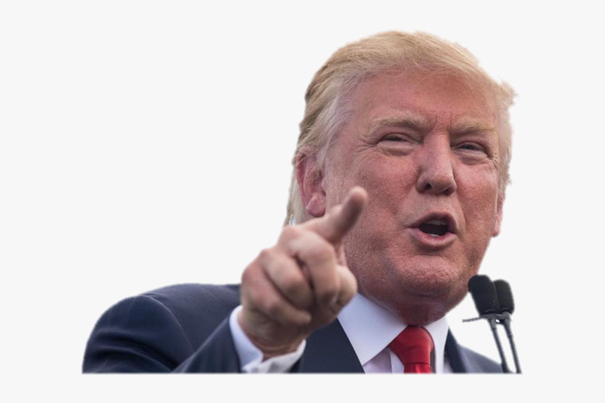 Donald Trump Domain Names For Sale - Happy Birthday David Trump, HD Png Download