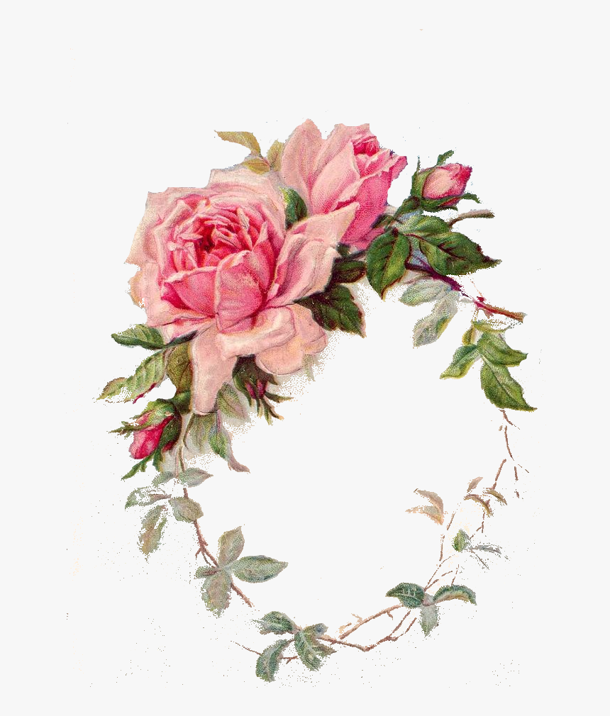 Frame Pink Vintage Rose Png, Transparent Png
