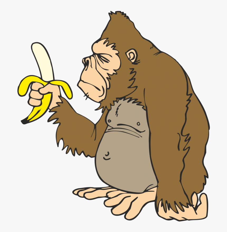 Svg Transparent Clipart Ape - Een Aap Die Geen Bananen Eet, HD Png Download