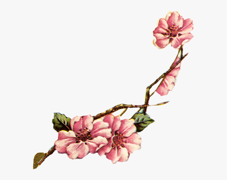 Vintage Birds And Flowers, HD Png Download