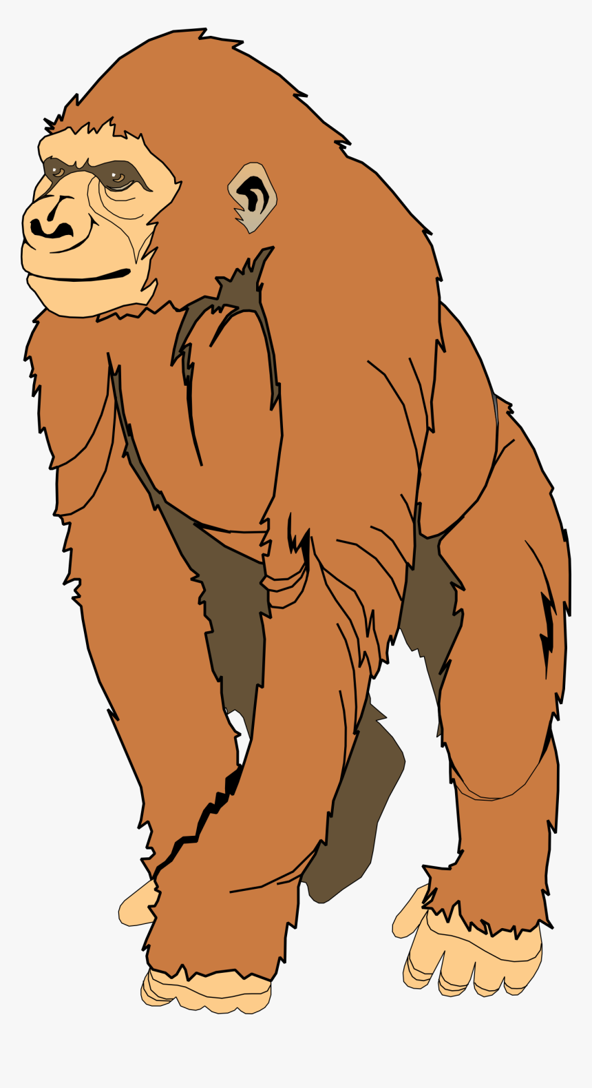 Ape Clipart - - Free Clipart Ape, HD Png Download