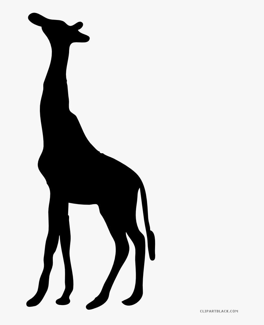 Jpg Transparent Library Giraffe Black And White Clipart Giraffe
