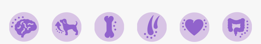 Circle, HD Png Download