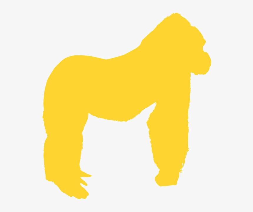 Dog, HD Png Download