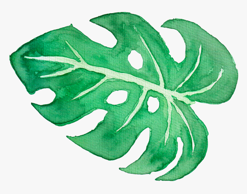 Tropical Clipart Tropical Leave Palm Leaves Watercolor Png Transparent Png Transparent Png Image Pngitem