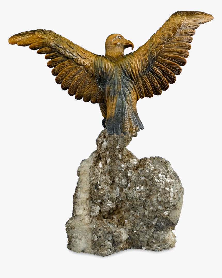 Tiger’s Eye Eagle By George O, HD Png Download