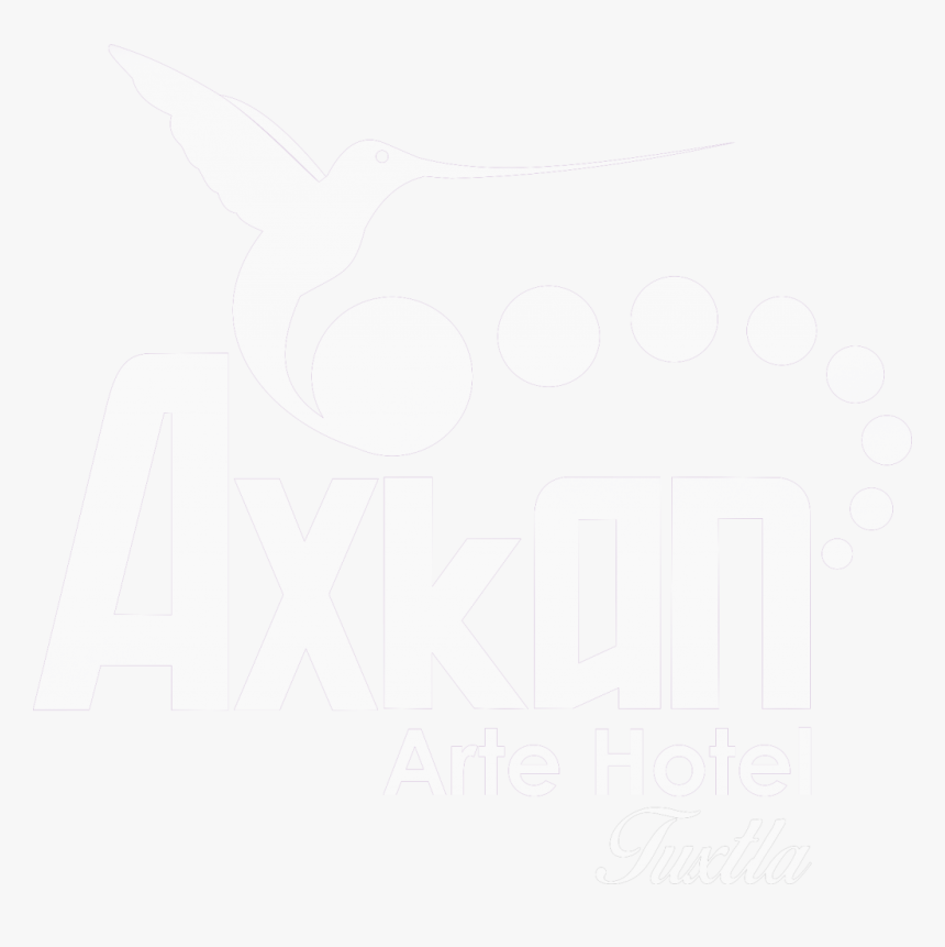 Coraciiformes, HD Png Download