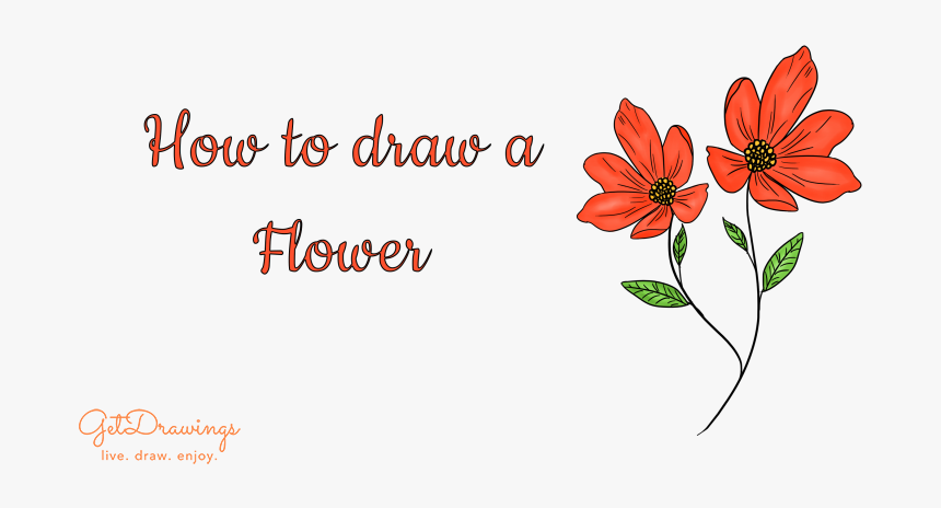 How To Draw A Red Flower, HD Png Download , Transparent Png Image - PNGitem