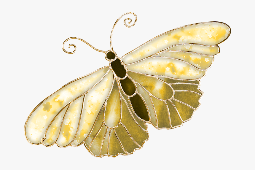 Бабочки бело золотые. Золотая бабочка. Золотистая бабочка. Золотые бабочки на прозрачном фоне. Золотистые бабочки на прозрачном фоне
