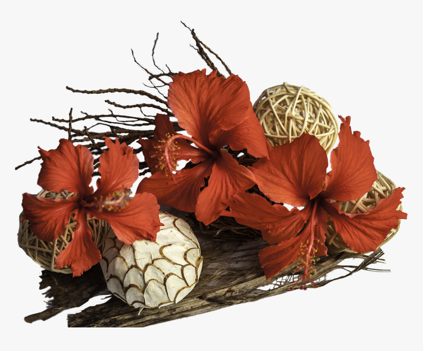 Flores, Driftwood, Arreglo Floral, Flores De Hibisco - Centrepiece, HD Png Download