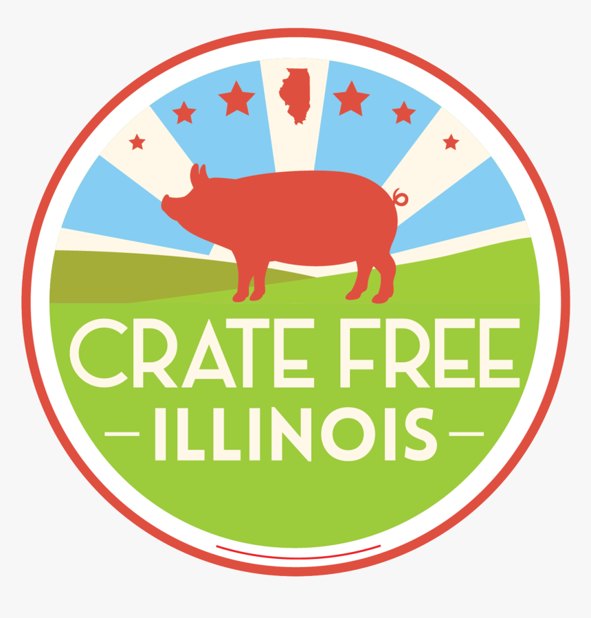 Volunteer Crate Free Illinois - Domestic Pig, HD Png Download