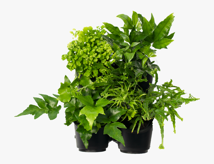 Flowerpot, HD Png Download