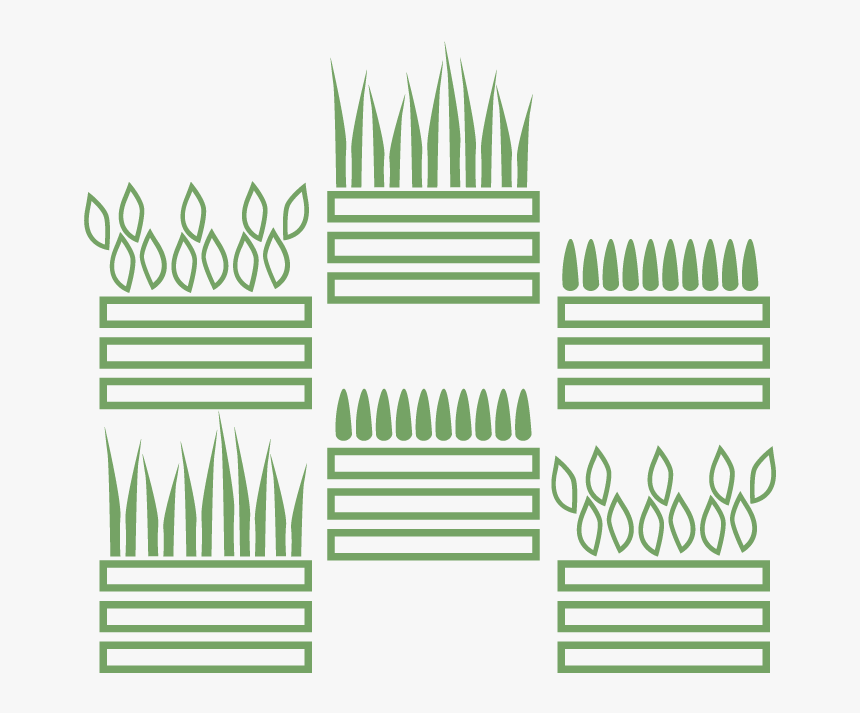 Moss Wall, Living Wall, Live Wall, Green Wall, Plant - Picket Fence, HD Png Download