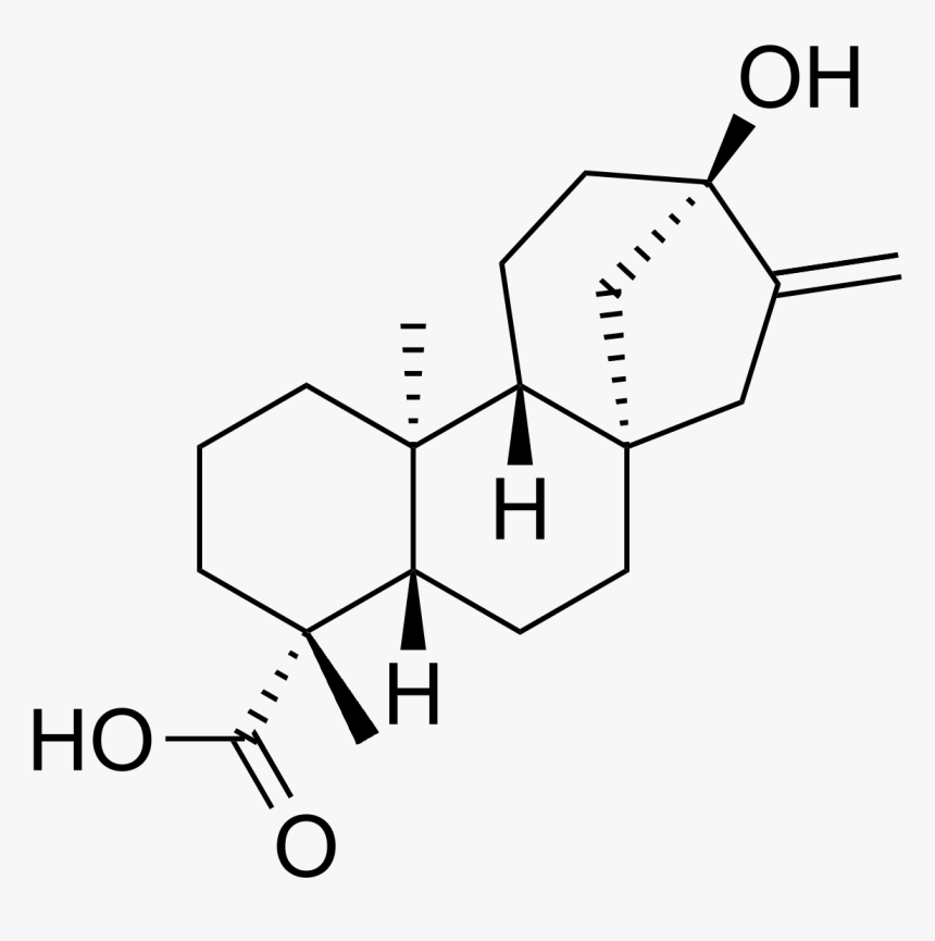 Kaurenoic Acid, HD Png Download