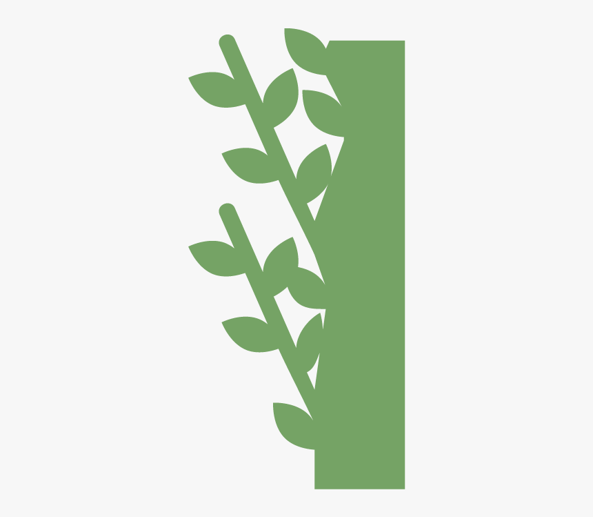Moss Wall, Living Wall, Live Wall, Green Wall, Plant - Floral Design, HD Png Download