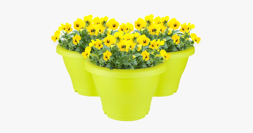 Flowerpot, HD Png Download