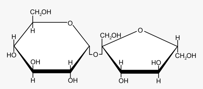 Sucrose Svg Clip Arts - Graphic Design, HD Png Download