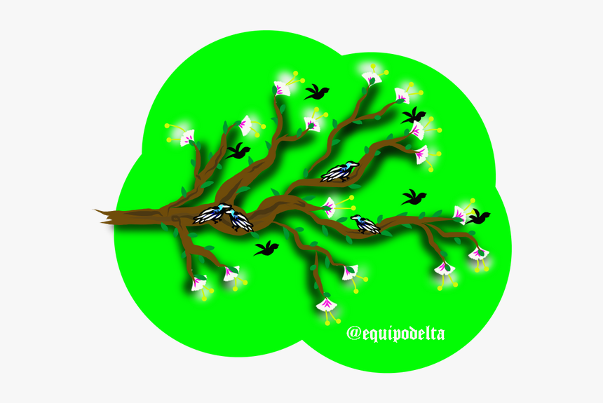 Aq3 - Illustration, HD Png Download