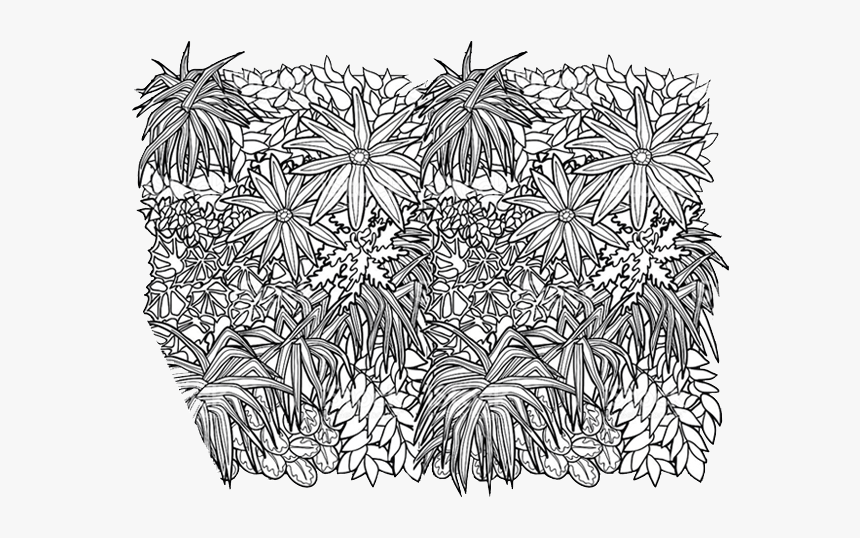 Doodle, HD Png Download