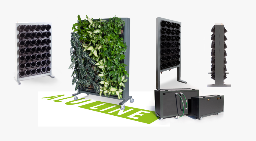 Mobile Walls, Equipped With An Integrated Irrigation - Systemy Zielonych Ścian, HD Png Download