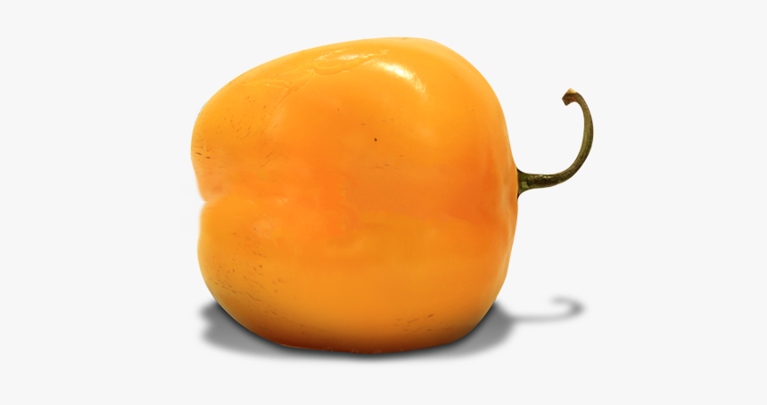 Persimmon, HD Png Download