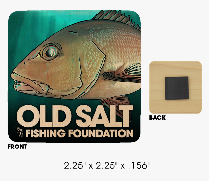 Transparent Red Snapper Png - Bass, Png Download