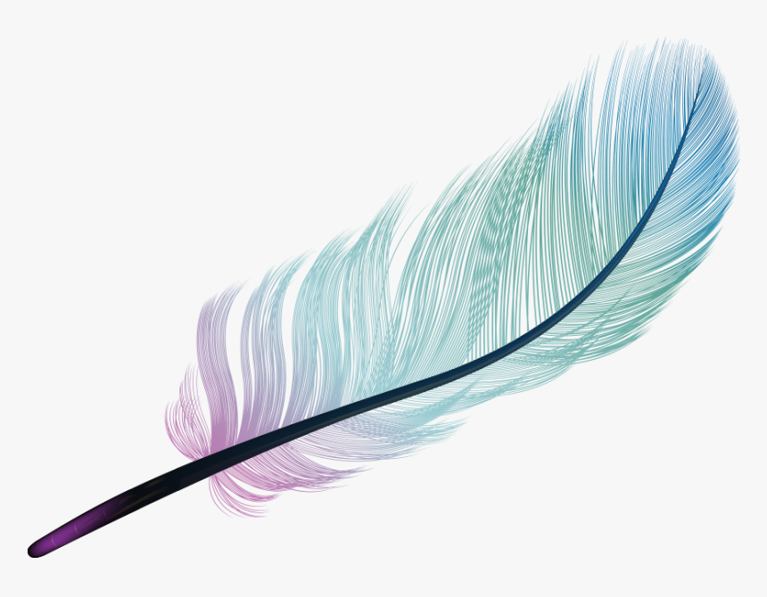 Feather Light Blue Color - Color Transparent Background Gradient, HD Png Download