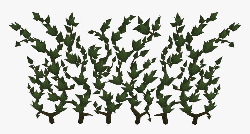 The Runescape Wiki - Runescape Ivy, HD Png Download