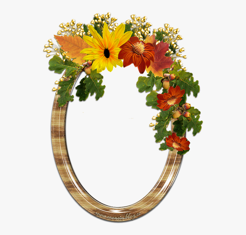 Floral Design, HD Png Download