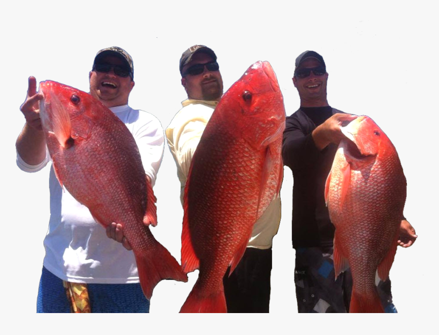 Deep Snapper Fish, HD Png Download