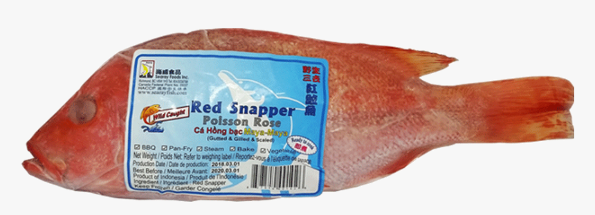 Cervelat, HD Png Download