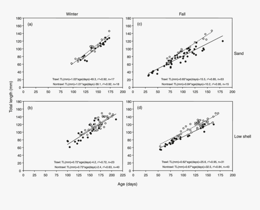 Size At Age Relationships Of Age 0 Red Snapper Collected - Drug, HD Png Download