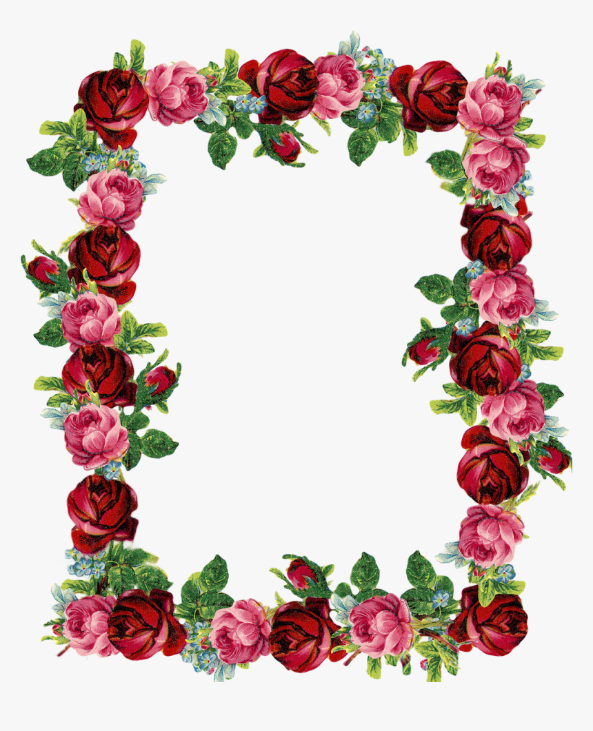 Flowers,floral Design,picture Frame,garden Roses,interior - Rose Clip Art Borders, HD Png Download