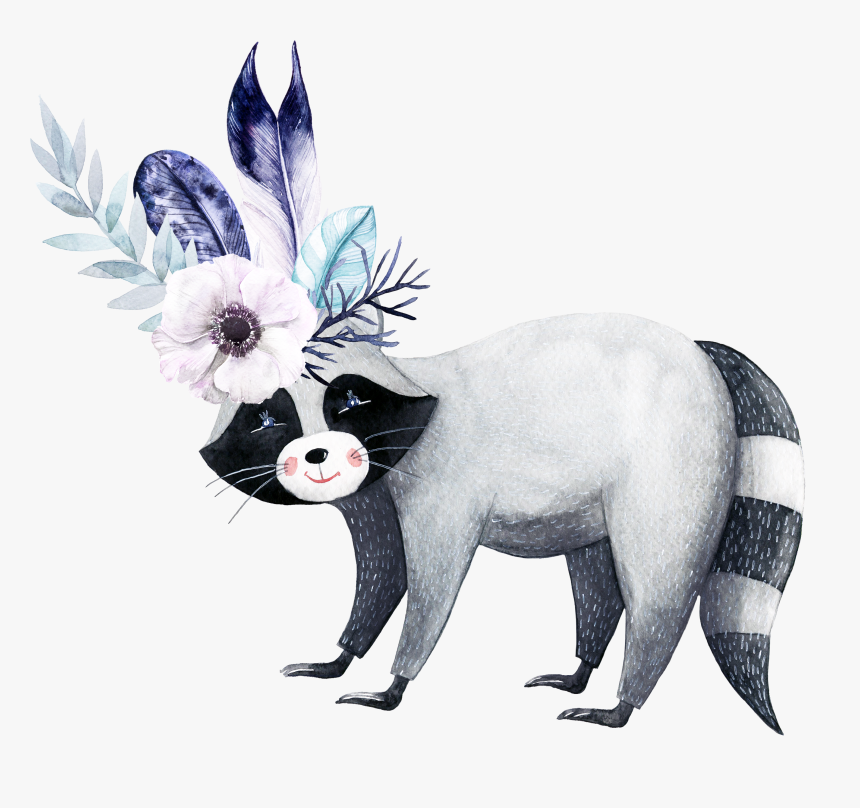 Mapaches Para Fondo De Pantalla, HD Png Download