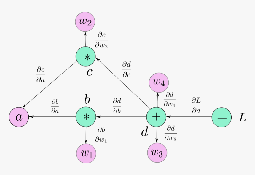Pytorch Autograd, HD Png Download