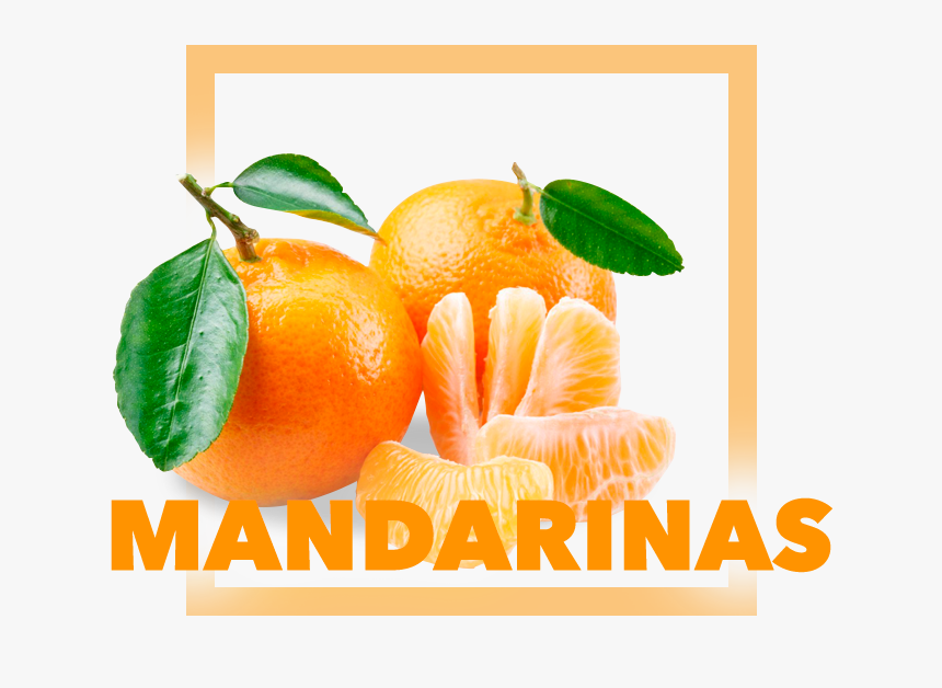 Transparent Mandarina Png - Klementinas, Png Download