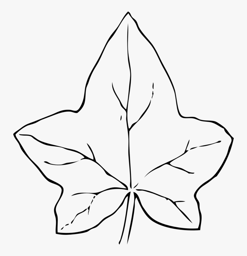 Ivy Leaf Clip Art - Clip Art Pumpkin Leaves, HD Png Download