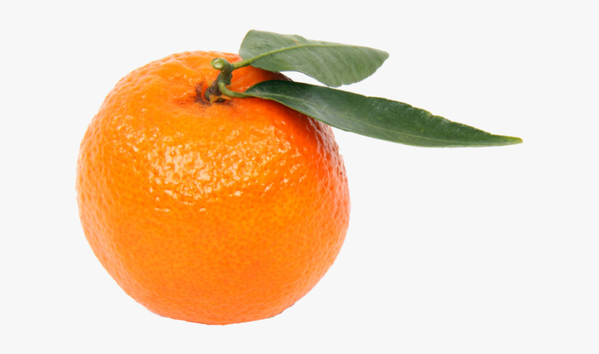 Mandarin Png - Мандарин Пнг, Transparent Png