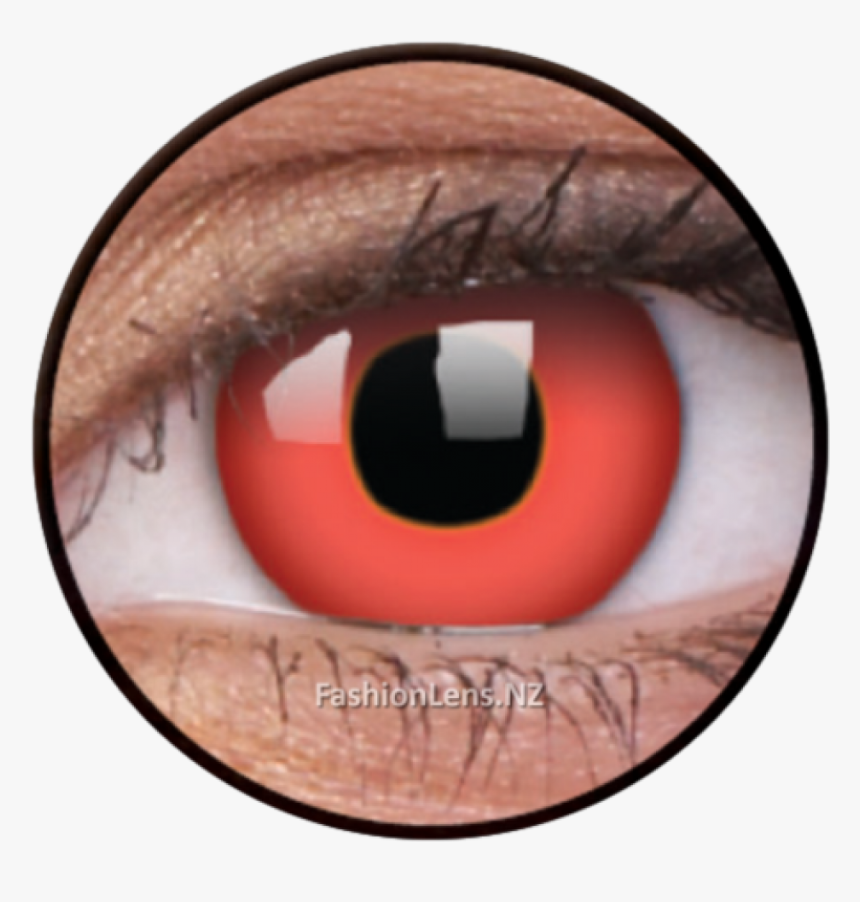Contact Lenses , Png Download - Contact Lenses, Transparent Png